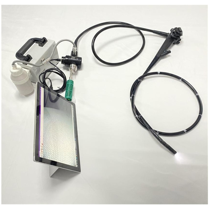 ved 6000b portable usb video gastroscope colonoscope