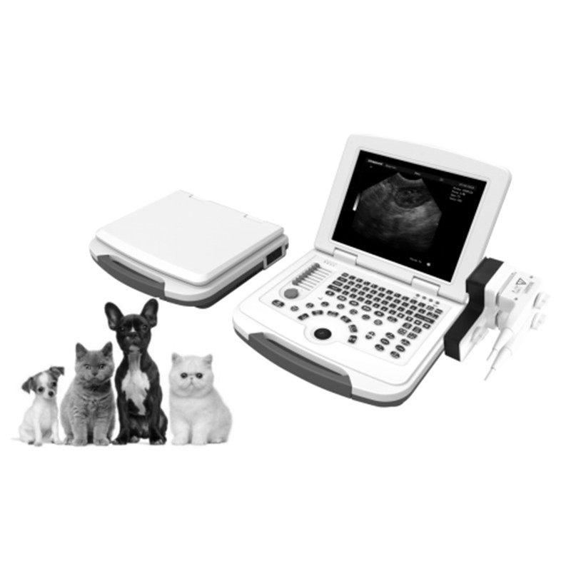 vc 10 b w laptop ultrasound scanner