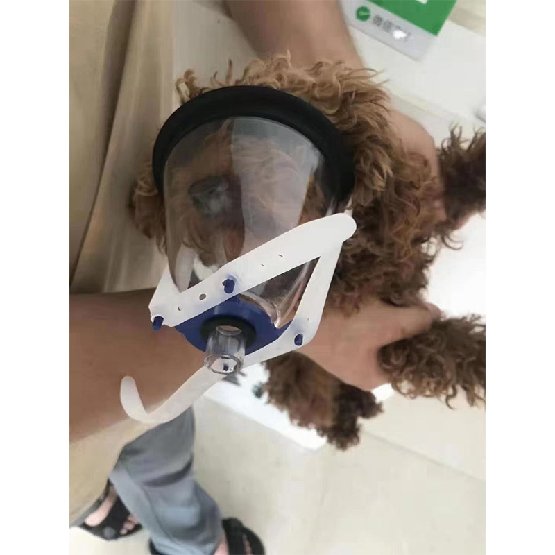 vet m6 veterinary anesthesia and ventilation mask