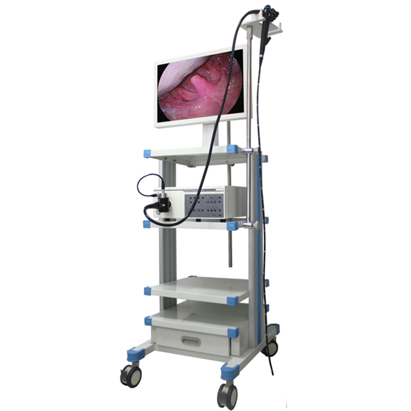 ved 8800 video gastroscope colonoscope