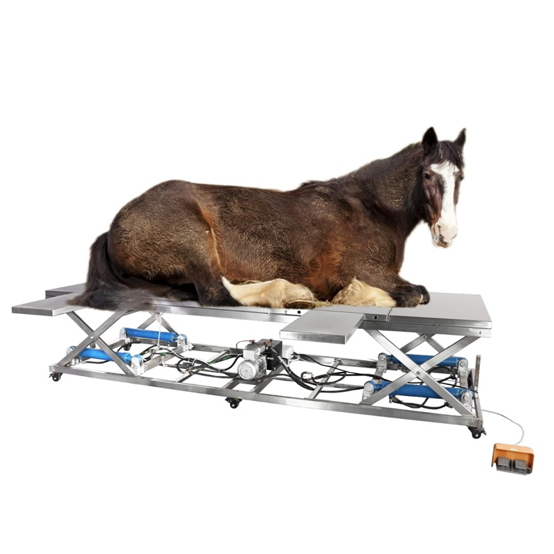 vot 05 electric hydraulic veterinary operating table