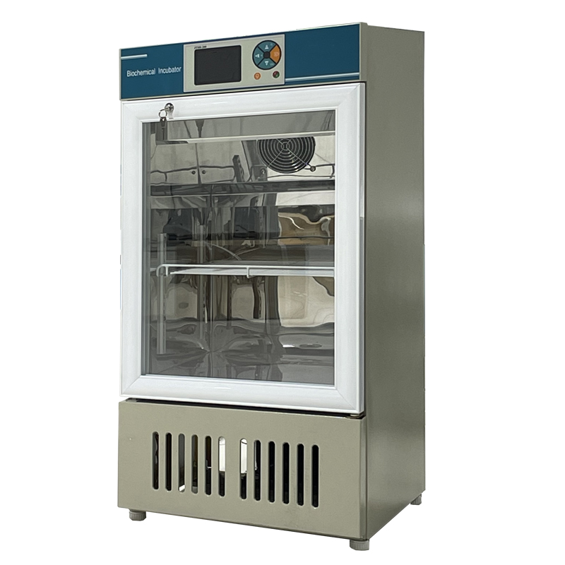 v spx 50b 80b biochemical incubator