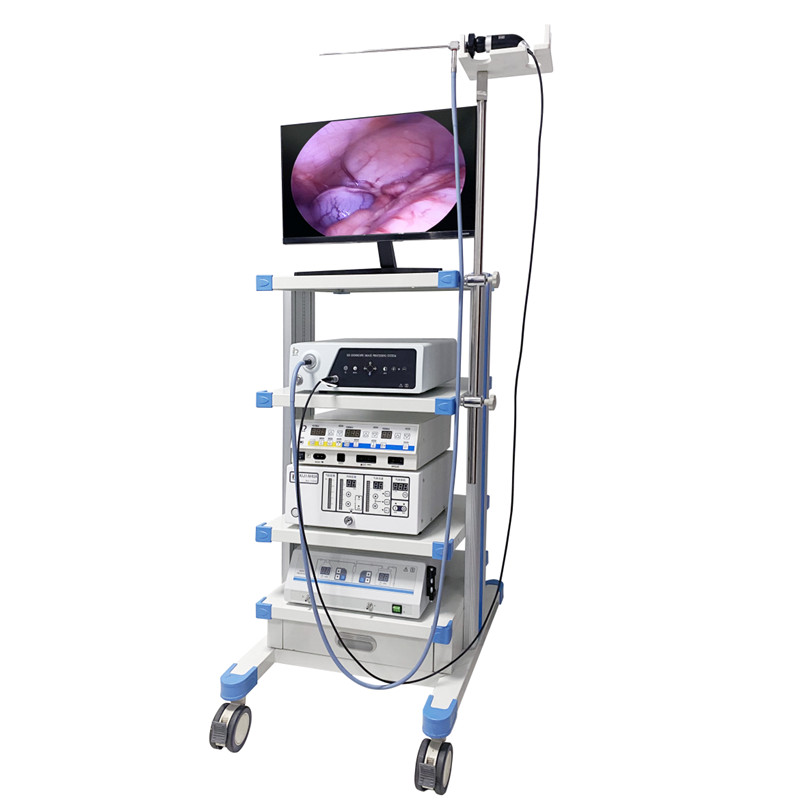 ved 4000 vet laparoscope endoscope